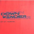 2024 Fanatic Downwinder - 5' 10