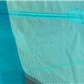 2024 Duotone Evo - 9 metre - 5