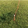 2024 Naish Pivot Nvision - 9 metre - 4