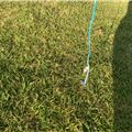 2024 Naish Pivot Nvision - 9 metre - 5